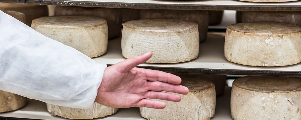 Mejerikunst på højeste gastronomiske niveau